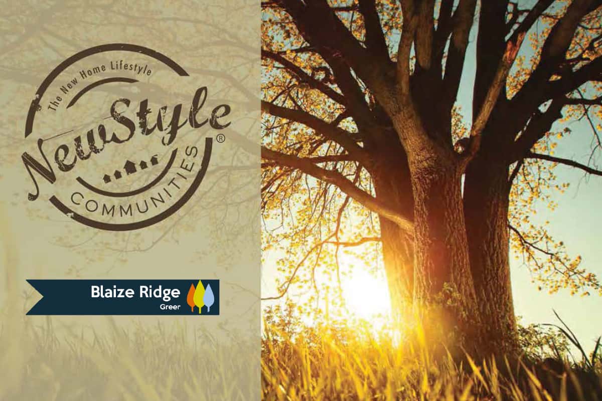 NewStyle Communities Blaize Ridge Brochure Thumbnail